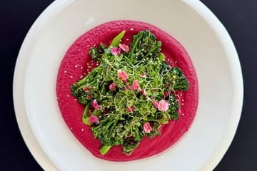 Mercato Bistro & Bar Photo