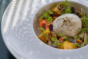 Concordia Taste Photo