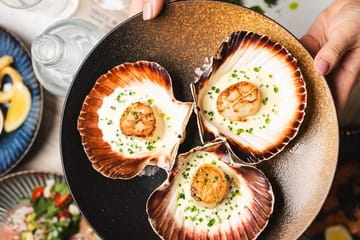 Seafood Station Bistro & Oyster Bar Photo