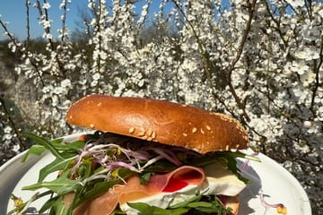 Café Zakrzówek Photo