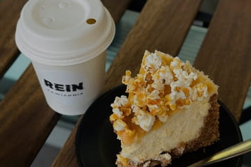 Rein Photo