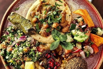 SHUK Photo