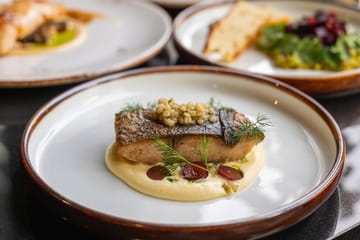 Concept Food & Wine Photo