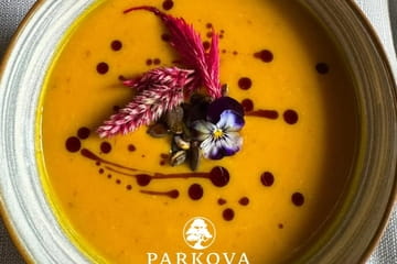 Parkova Photo