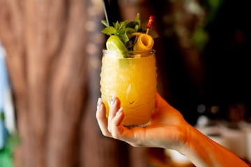 Tiki Jungle Photo