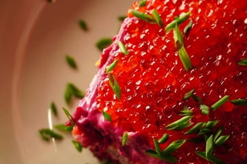 PRIME Cyber Lounge Photo